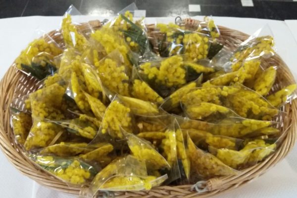 Festa della Donna Residenza Protetta Santuario | Opere Sociali Servizi Savona