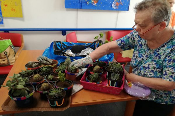 Laboratorio botanico Residenza Protetta Bagnasco | Opere Sociali Servizi Savona