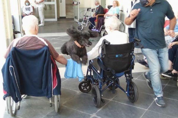 Pet Therapy - Residenza Protetta Bagnasco - Opere Sociali Servizi Savona